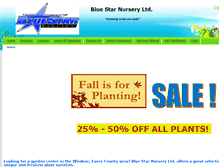 Tablet Screenshot of bluestarnursery.com